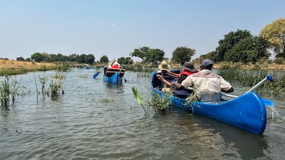 Rio Zambeze canoa