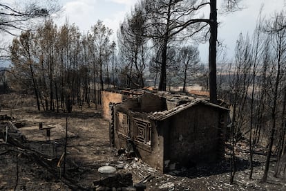 Vivienda quemada en el incendio, el pasado 27 de julio.