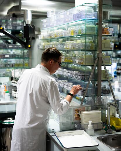 Los laboratorios de Givaudan, en la avenida de Kléber, en París. Es aquí donde se crean los perfumes de Ex Nihilo.