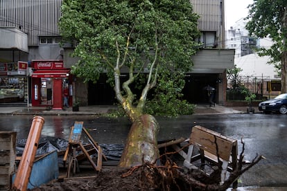 Un árbol caído bloquea una calle bonaerense, el pasado 18 de diciembre.
