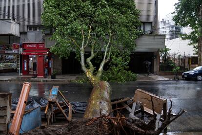 Un árbol caído bloquea una calle bonaerense, el pasado 18 de diciembre.