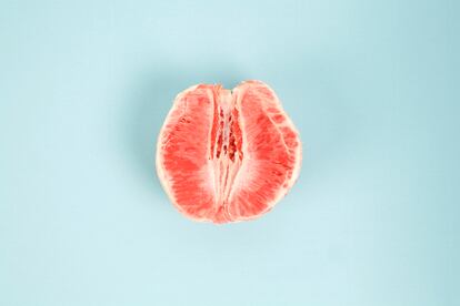 vulva