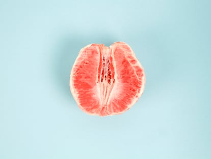 Entrevista imaginaria a la vulva: «¿Qué mal he hecho para sufrir esta persecución?»