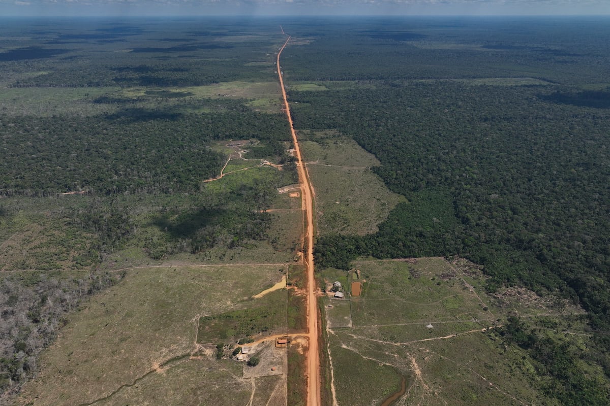 Brasil acelera la caída de la deforestación en vísperas de acoger la cumbre del clima