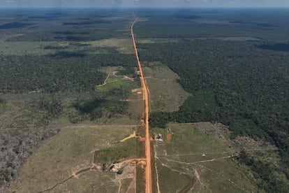 Deforestación Amazonas en Brasil