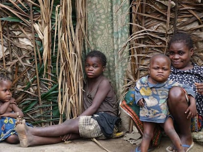 Una familia de indígenas baka de la zona del Área Protegida del Messok-Dja, en República del Congo.