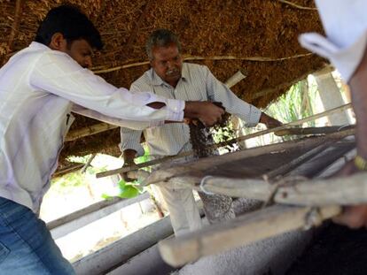 Gangadhar Bhukya (al fondo) prepara la tierra para los cultivos orgánicos.