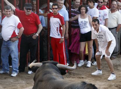 Los aficionados observan el arranque de uno de los toros en la plaza de Coria.