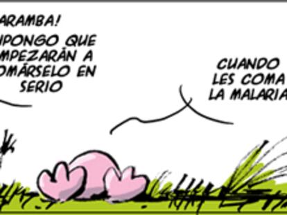 RAMÓN