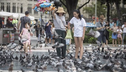 Turistas dando comida a las palomas en plaza de Catalunya