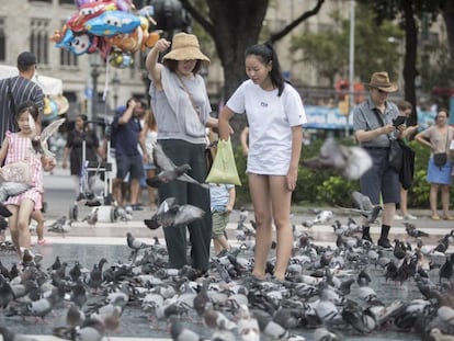 Turistas dando comida a las palomas en plaza de Catalunya