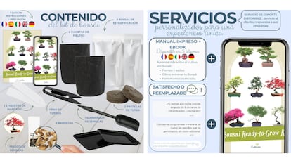 Este kit de cultivo de bonsai inclui todos os acessórios necessários.