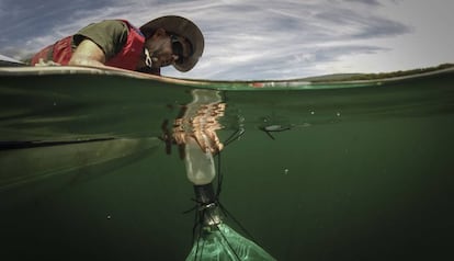 Biel Obrador, researcher at Barcelona University, measures the methane levels in the reservoir.