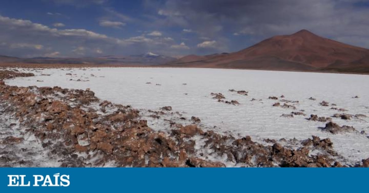 Argentina lidera la carrera del litio | Economía | EL PAÍS