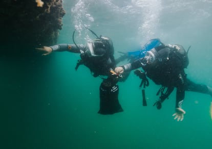 Un total de 597 buceadores participaron durante 12 horas en el rastreo de la costa de Sesimbra (Portugal).