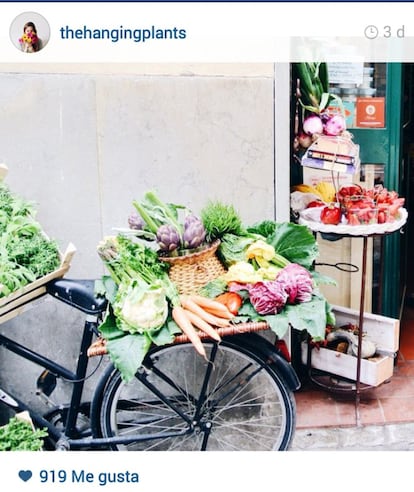 Ir al súper en bici hará menos tediosa la faena. Y si además se surte de una buena variedad de vegetales, dará en la tecla con su dieta de adelgazamiento, donde toca comer de todo pero primar lo verde. ¿Le hemos contado ya por qué en Venecia no hay gordos?