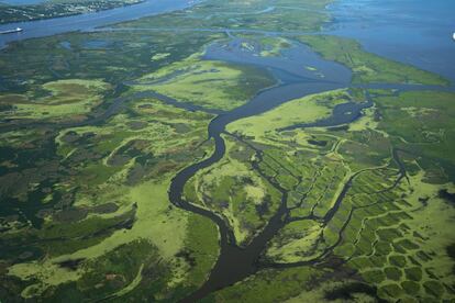 En los últimos 30 años, Louisiana ha perdido tierra firme a razón de casi un campo de fútbol por hora. En la imagen, se muestra un proyecto de terrazas que convirtió lo que antes era agua abierta en nuevos pantanos cerca de Fort St. Philip, con el río Mississippi en el extremo izquierdo y el Golfo de México en el extremo derecho, el 22 de agosto de 2019. Según los investigadores de la Administración Nacional Oceánica y Atmosférica (NOAA), la combinación de aguas ascendentes y tierra que se hunde da a Luisiana una de las tasas más altas de aumento relativo del nivel del mar en el planeta. Desde la década de 1930, Louisiana ha perdido más de 2.000 millas cuadradas de superficie.