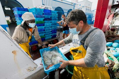 Un grupo de pescadores descargan las capturas en el puerto pesquero de Cartagena (Murcia).