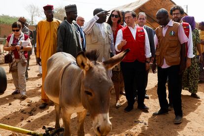 El ministro de Asuntos Exteriores, Unión Europea y Cooperación, José Manuel Albares (segundo por la derecha), este miércoles, durante una visita la aldea de Ganguel, en Níger, donde se lleva a cabo el proyecto de cooperación huerto periurbano.