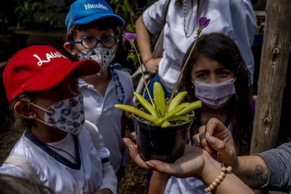 "¿Y qué pasa si metes tu dedo o lo tocas?", pregunta uno de los alumnos a la guía. "¿Ves que esta planta tiene como unas gotitas en las hojas? Eso actúa como si fuera pegamento y atrapa a bichitos pequeñitos para luego comérselos. Pero con tu dedo no podría", responde Julia Daniela Segura, bióloga y comunicadora ambiental. La parada de plantas carnívoras es, sin duda, de las favoritas.