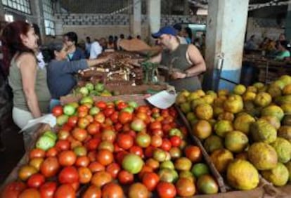 Varias personas compran vegetales en un mercado privado en La Habana (Cuba). EFE/Archivo