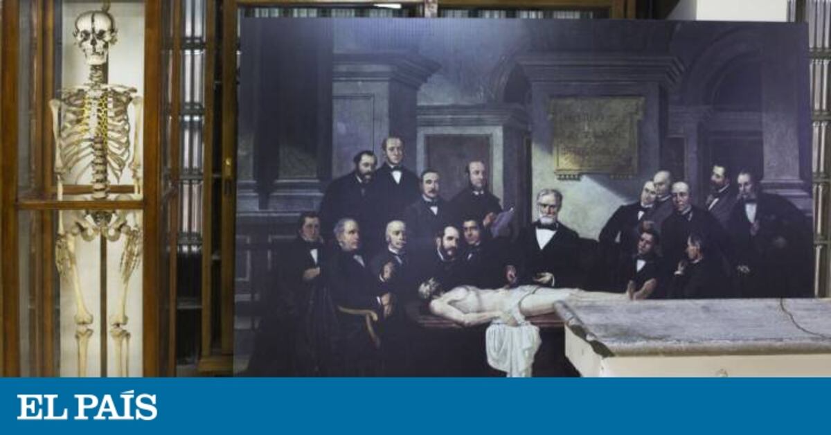 Un festival para los fans del misterio y lo salvaje | Noticias de ...