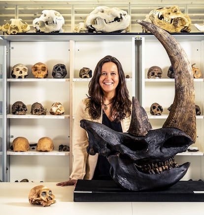 María Martinón posa con los restos de un rinoceronte lanudo, de entre 10.000 y 350.000 años de antigüedad.