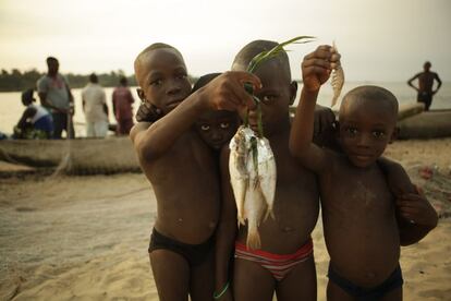 Un grupo de niños muestra algunos de los peces que han traído los pescadores de un islote cercano a la isla de Sherbro.