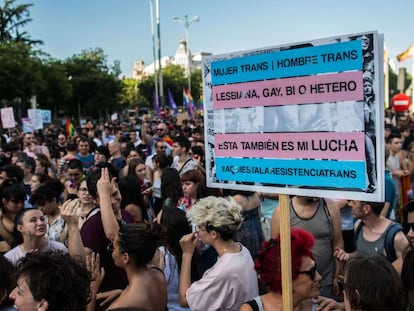 Una protesta LGBTI denominada Orgullo Crítico, en Madrid en junio de 2018.