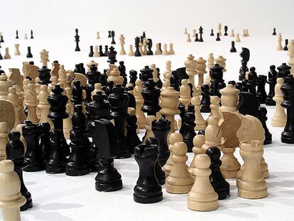 Detalle de 'Motim III' (1998-2003), de José Damasceno.