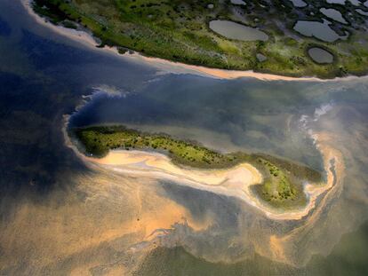 El vertido de crudo alcanza el arrecife de las islas Chandeleur, frente a la costa de Luisiana.
