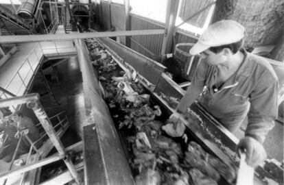 Un operario separa residuos en la planta investigación de residuos de Valdemingómez (Madrid) en 1992.