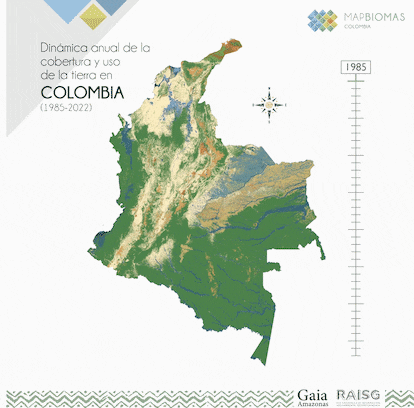 Dinámicas año a año de la cobertura y uso del suelo en Colombia.