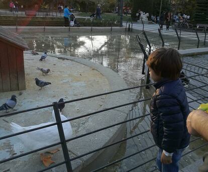 Xabi en el parque madrileño del Retiro, a la espera de recibir la terapia el 16 de marzo de 2017.
