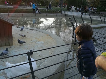 Xabi en el parque madrileño del Retiro, a la espera de recibir la terapia el 16 de marzo de 2017.