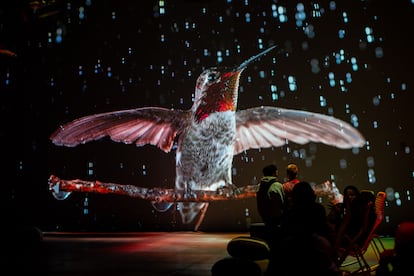 Visitantes en la experiencia inmersiva 'Somos naturaleza'.