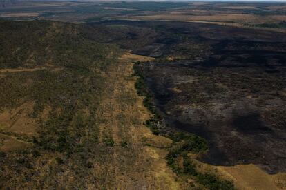 O lugar e a forma como o fogo começou, no dia 10, aproveitando a força do vento, descartam a possibilidade de que o incêndio tenha surgido espontaneamente, como os que ocorrem em alguns momentos do ano