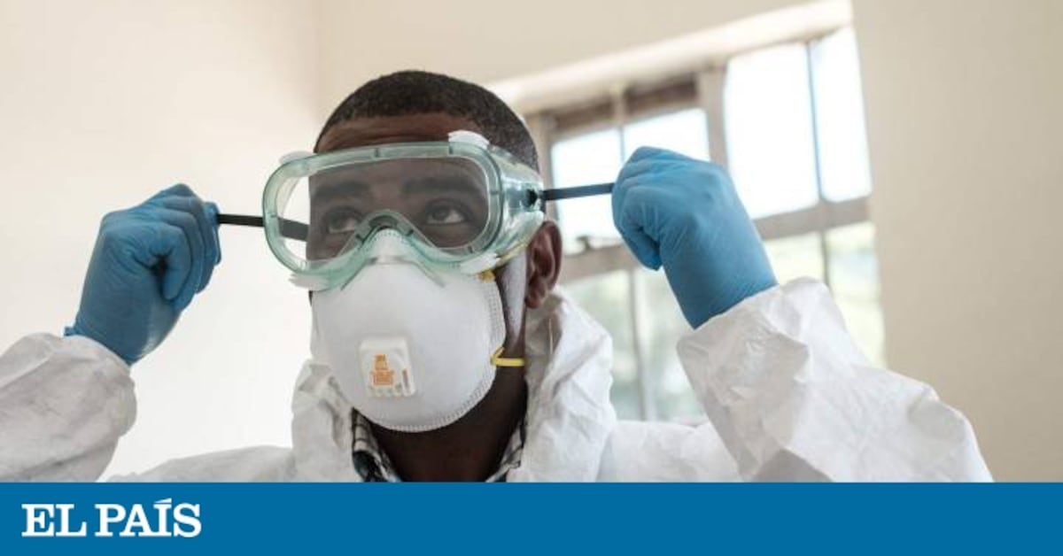 elpais.com
