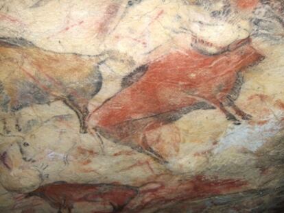Vista parcial del techo de la sala Policromada de la cueva de Altamira, con pinturas de bisontes.