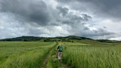 Un caminante recorre un tramo de la Vía Lucana, en una imagen cedida por los organizadores del Camino Materano.