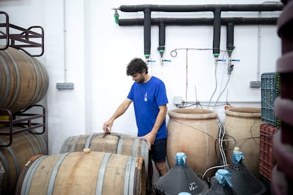 Samuel Párraga dentro de su bodega en Coín, Málaga.
