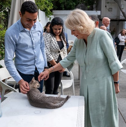 La duquesa de Cornualles y la primera dama de Egipto han mantenido una distendida charla en una de las estancias de Palacio antes de su marcha. Además de su visita al hospital veterinario, Camilla ha acudido al Centro Cultural Jesuita de Alejandría, donde se ha tomado alguna de sus últimas fotografías antes de dar por terminado el viaje de Estado que ha realizado junto a su marido.