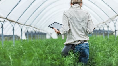 El PERTE del sector agroalimentario quiere modernizar esta industria que aporta cerca del 10% del PIB y genera unos tres millones de empleos.
