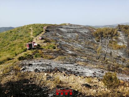 Bomberos en una colina afectada por el incendio de Baldomar, este domingo. / BOMBERS DE LA GENERALITAT