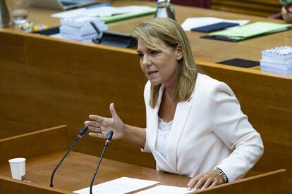 La vicepresidenta y consejera de Servicios Sociales, Susana camarero, durante una comparecencia en las Cortes.