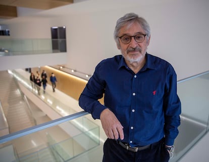 Luis Castells Arteche, catedrático de Historia de la Universidad del País Vasco, en el campus de San Sebastián. / JAVIER HERNÁNDEZ
