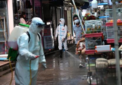 Las autoridades tailandesas desinfectan un mercado de animales de Chatuchak en Bangkok (Tailandia), este viernes.