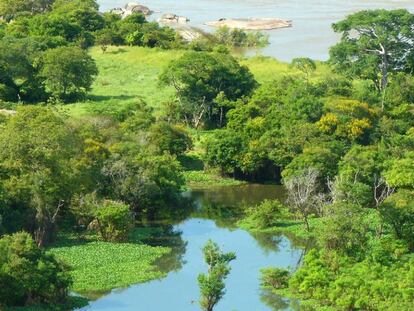 El Orinoco a su paso por Venezuela.