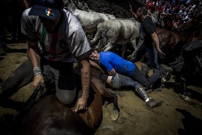 Los 'aloitadores', hombres y mujeres que se encargan de la doma y trata de los animales, se lanzan a un recinto arenoso conocido como curro, donde se lanzan a por las bestias.