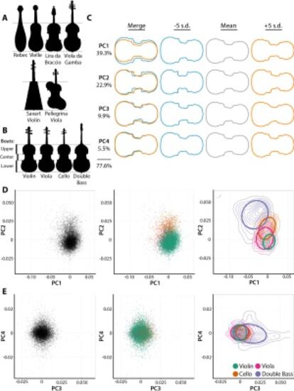 Uno de los diagramas de Chitwood que muestra la variación de la forma de los instrumentos. Las siluetas en negro marcan ejemplos de los predecesores del violín, de las formas más variadas. Los gráficos de dispersión muestran cómo los violines se concentran en unas dimensiones muy acotadas.